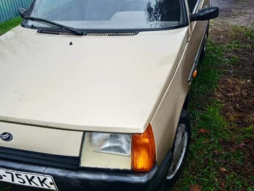 Авто ЗАЗ 1102 2004 № 8904910