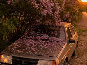 Авто ВАЗ 2109 1992 № 8906455