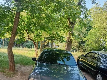 Авто BMW 3 Серия 2006 № 8909139