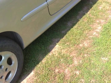 Авто Peugeot 206 2000 № 8910703