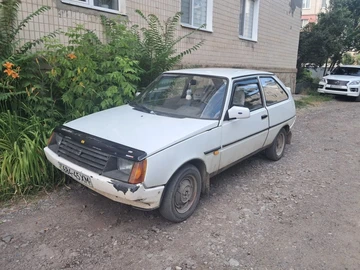 Авто ЗАЗ 1102 1993 № 8910761