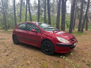 Авто Peugeot 307 2002 № 8912501
