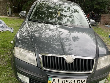 Авто Skoda Octavia 2007 № 8913224