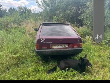 Авто ВАЗ 2109 1992 № 8921355