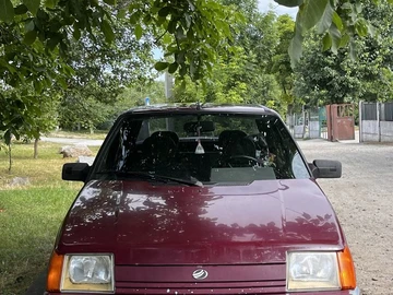 Авто ЗАЗ 1103 Slavuta 2004 № 8923968