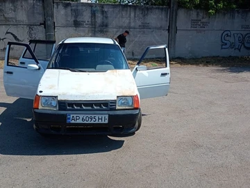 Авто ЗАЗ 1103 Slavuta 2007 № 8926505