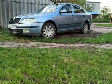 Авто Skoda Octavia 2007 № 8930276