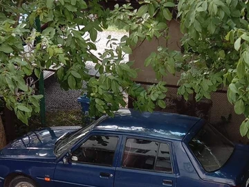 Авто ЗАЗ 1103 Slavuta 2004 № 8931614