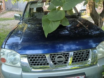 Авто Nissan Navara 2002 № 8938656