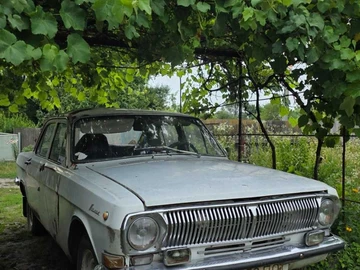 Авто ГАЗ 24-10 Волга 1983 № 8947062