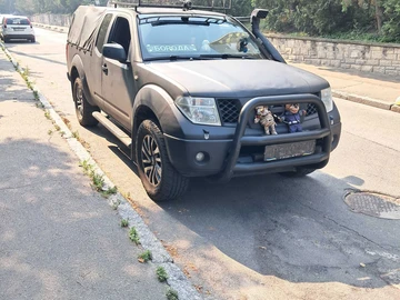 Авто Nissan Navara 2006 № 8956896
