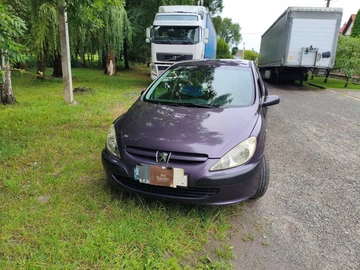Авто Peugeot 307 2003 № 8962535