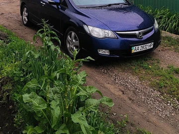 Авто Honda Civic 2008 № 8974235