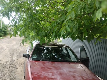 Авто Audi 100 1983 № 8974982