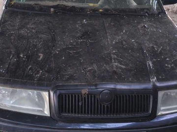 Авто Skoda 100 2004 № 8977129