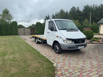 Авто Mercedes Sprinter 2003 № 8977274