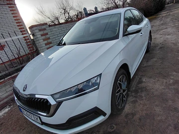 Авто Skoda Octavia 2020 № 8978734