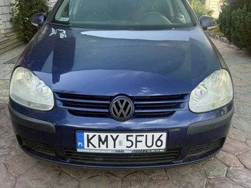 Авто Volkswagen Golf 2004 № 8981057