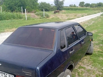 Авто ВАЗ 21099 2005 № 8986168
